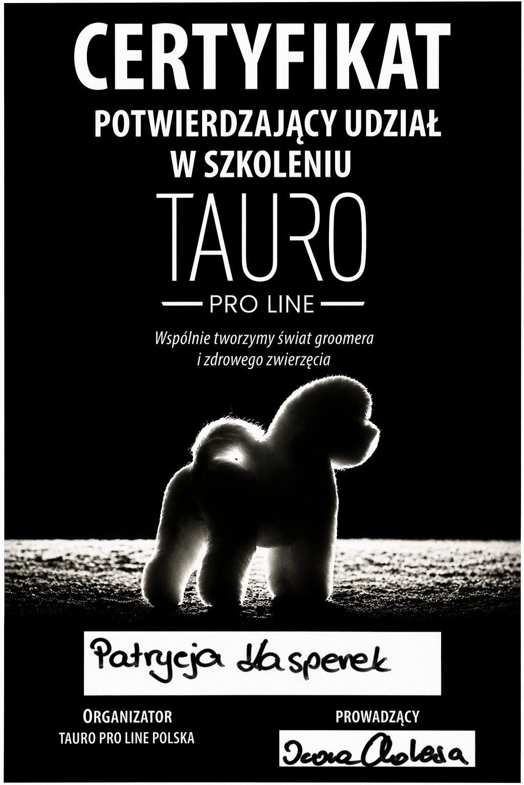 Tauro Pro Line Polska — Certyfikat udziału w szkoleniu (Prowadząca: Iwona Cholewa)