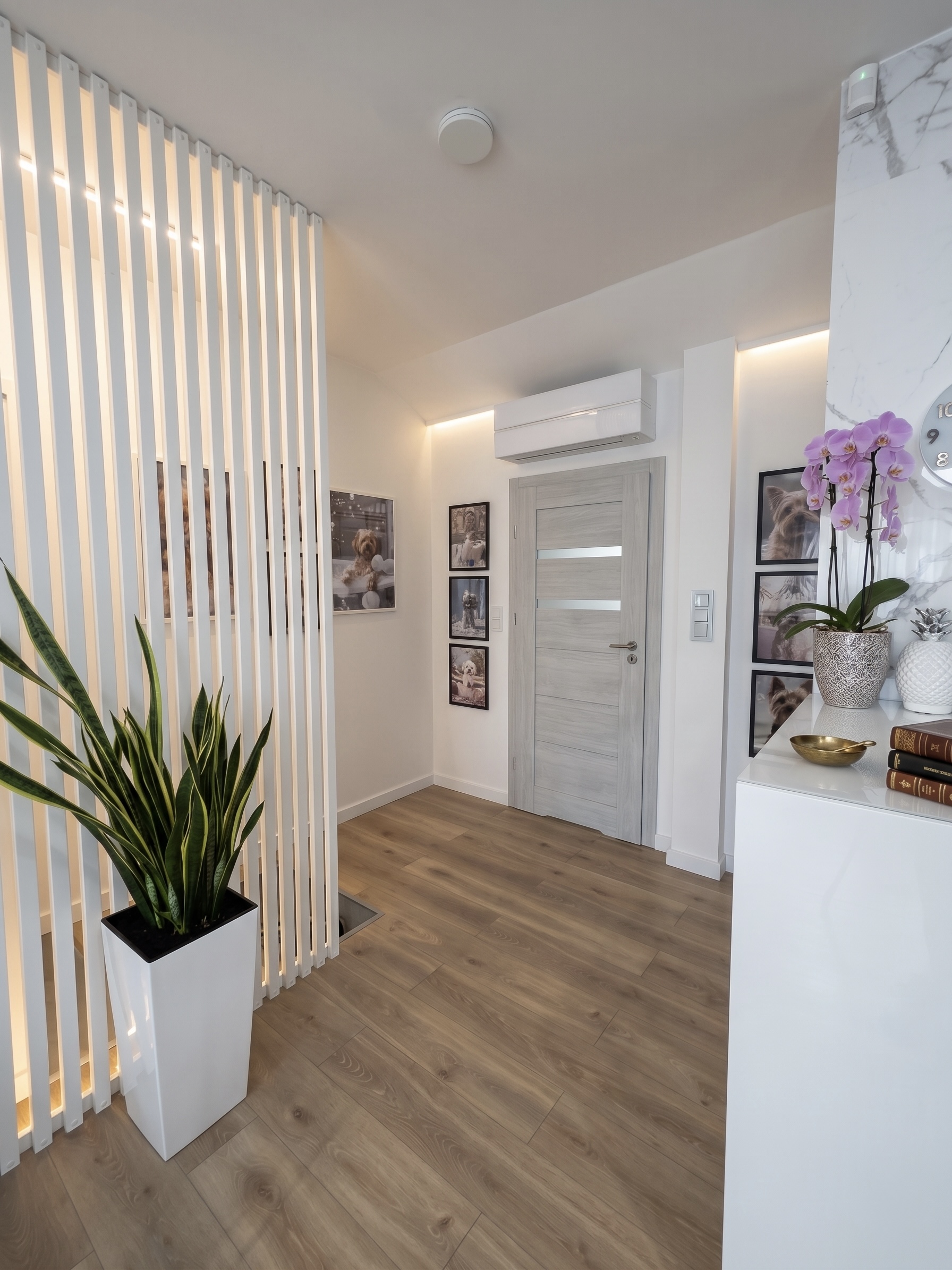 Elegancka recepcja salonu groomerskiego - ELITE Groomer Magdalenka