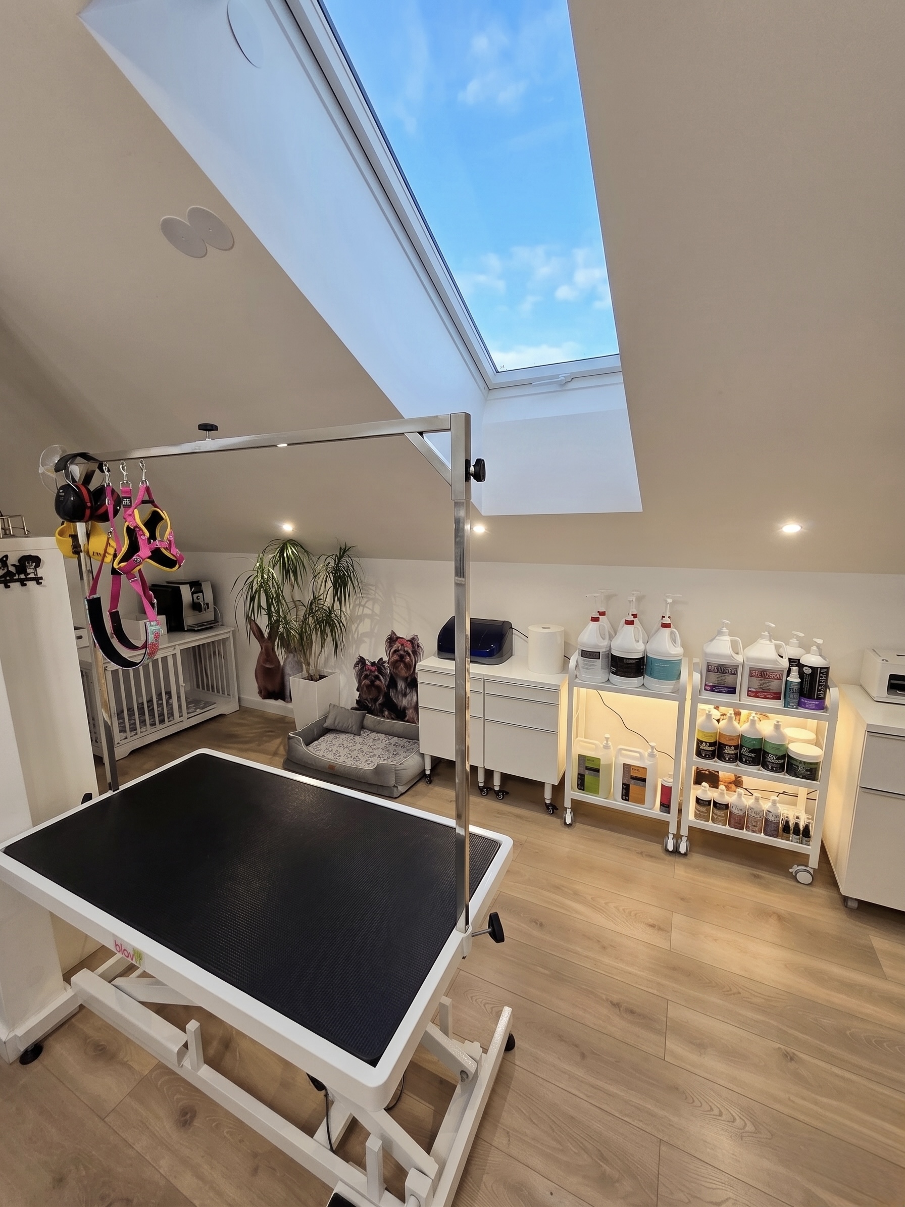 Stół groomerski ze świetlikiem dachowym - ELITE Groomer Magdalenka